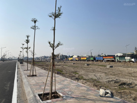 Bán đất nền 90m2 đường Tỉnh Lộ 463, khu buôn bán đồ gỗ Xã Nguyên Xá, Vũ Thư, Thái Bình, 2,16tỷ