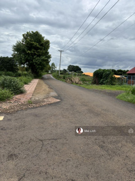 Chính chủ bán miếng đất Gần trục đường chính ĐT877B, xã Phú Tân, Tân Phú Đông, 164,7m2/ 140tr SHR