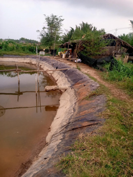 Bán đất ao nuôi tôm giá rẻ cho bác có nhu cầu làm nghề