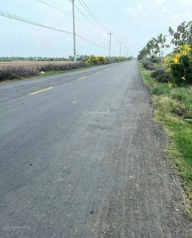 Đất 310m2 tại Gò Công, Tiền Giang. Mặt tiền đường Tỉnh 872B, 8x39m sổ rồi, 1,25 tỷ thương lượng