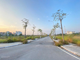 Quỹ căn liền kề view hồ Đầm Vạc từ đẹp tới siêu đẹp gửi tới quý anh chị đầu tư