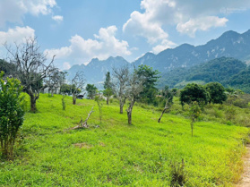 Cắt lỗ 700m2 đất TT Mộc Châu, phù hợp làm homestay