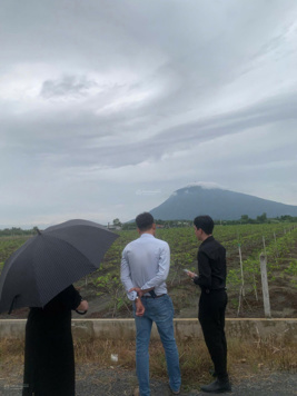 Khai trương quỹ đất sân bay Tây Ninh