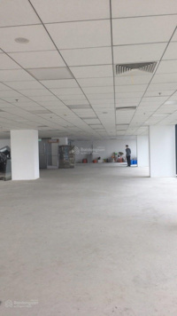 Cho thuê VP Viet Tower Parkson số 1 Thái Hà 100m2, 150m2, 200m2, 260m2, 8000m2 giá 150k/m2/th