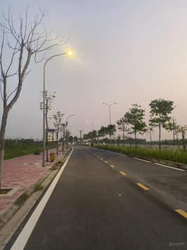 Chính chủ bán lô đất MT 4m hướng Đông Bắc tại Lạc Thượng, Thống Kênh, Gia lộc, Hải Dương 0989 334 566