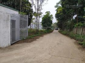 Chính chủ cho thuê kho xưởng Đồng Trạng, Sơn Tây, Hà Nội. Đường rộng xe tải 20 tấn vào thuận tiện