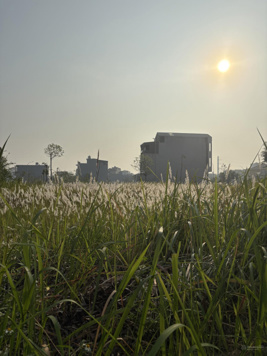 Chính chủ bán lô đất siêu đẹp siêu hiếm tại khu đô thị Quang Giáp, Thạch Khôi Hải Dương. 0989 334 566