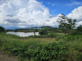 Bán đất 1300m2, 350 triệu tại xã Ea Ô, Ea Kar, Đắk Lắk