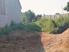 Bán đất tại Ea Kao, Buôn Ma Thuột, Đắk Lắk, giá 1,25 tỷ, diện tích 180m2