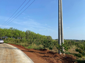 Bán 2.6 héc đất trống tại Nghĩa Thắng, đường bê tông 6m. Sổ riêng