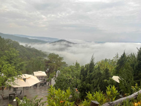 Bán lô đất 1678m2 view thông xanh thực tế 2600m2 cạnh Dinh 1 Trần Quang Diệu, thành phố Đà Lạt