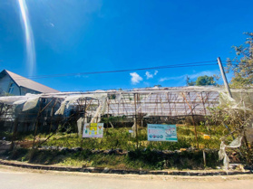 Xoay việc bán gấp lô đất mặt tiền Đa Phú, trung tâm P7 Đà Lạt, 2748m2 chỉ 30 tỷ thương lượng