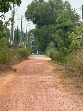 Bán đất 31*76m đường 6m thông xã Phú Mỹ Hưng, Củ Chi. SĐR. Giá 5 tỷ. ĐT 0902 405 086