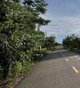 Chuyển nơi ở bán nhanh lô đất 1000m2 sẵn thổ cư thích hợp định cư lâu dài