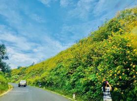 Mình chính chủ ngợp bán lô đất Bảo Lâm, Bảo Lộc 242,2m2 sẵn 80m2 thổ cư, bán 500 triệu