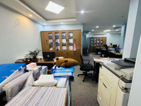 Bán nhà Trung Kính, CG, 66/80m2, lô góc kinh doanh cafe, chỉ 31 tỷ. LH 0972 174 959