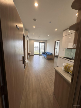 Bán gấp căn hộ 2 ngủ phân khu Pavilion tòa P2 mới bàn giao T6/2024 full nội thất cơ bản