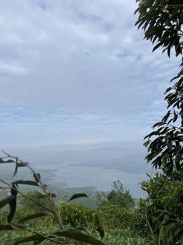 Cần nhượng lại lô đất đỉnh đồi - khu vực sông Đồng Nai