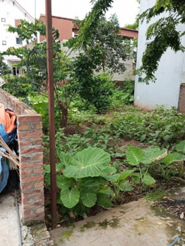 Bán đất vàng Biên Giang Hà Đông, sổ đẹp nở hậu, không lỗi phong thủy ô tô đỗ cửa