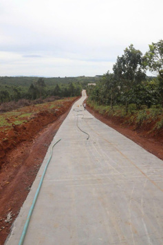 Bán đất tại Xã Đắk Wer, Dăk R''Lấp, Đắk Nông, 280 triệu, 1118 m2. Giá tốt