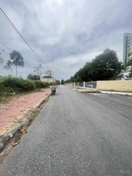 Bán Ngộp Lô Kề Gốc 85m2 P. Long Tâm Giá net 1ty586