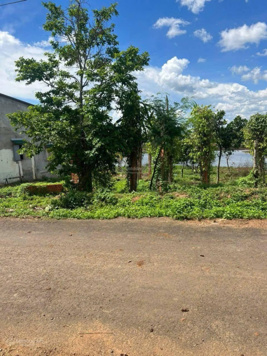 Bán lô đất mặt tiền nhựa cuối đất giáp hồ đẹp mộng mơ lại sẵn thổ cư KDC đông giá chỉ 459tr