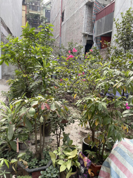 Mảnh Đất Vàng - Thông Số Kim Cương - Cách Phố 60m - Bán Đất #Tựu_Liệt - Giá 120tr/m2