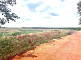 Bán gấp 1.225m2 có thổ cư sổ hồng riêng QL13 vào dân cư đông cặp lưng chợ công nghiệp trường học 3p