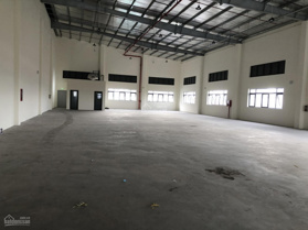 Công ty Hoa Phượng cho thuê kho, xưởng Quận 7. Có kho tự quản và kho dịch vụ(200m2 đến 15.000m2)