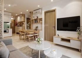 Thủ tục nhanh gọn chính chủ bán gấp căn hộ 2N2WC tại The Tonkin giá tốt 3,9 tỷ full đồ