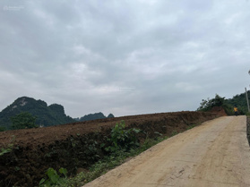 Cực phẩm đất nghỉ dưỡng Lương Sơn Hoà Bình, view triệu đô, 3228m2 full đất ở. Giá đầu tư sinh lời