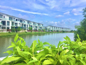 Sở hữu ngay căn biệt thự đơn lập 205m2 Belhomes View sông đầu tiên - Lời hơn thị trường 1 tỷ