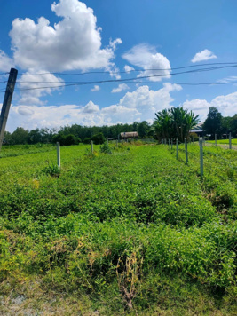 Chủ gởi bán lô đất gần cổng chào Tây Ninh 322m2 giá chỉ 420tr còn thương lượng