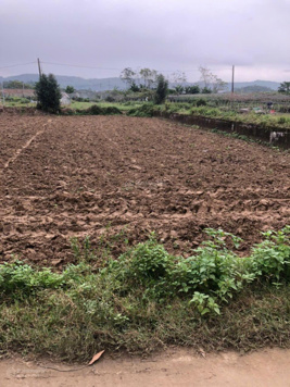 Chỉ 235 triệu có ngay lô đất 270m2, đường ô tô tận nơi. Sát đường QL 14G thôn Tuý Loan, Hoà Phong