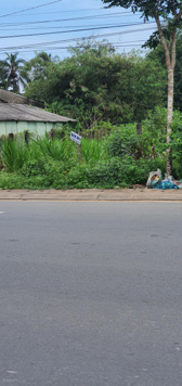 Bán đất mặt tiền quốc lộ 53, Long Sơn, Cầu Ngang, Trà Vinh, cách ngã 3 Ô Răng 600m