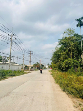 Bán gấp mặt tiền đường 55 Xã Bàu Đồn, Gò Dầu, Tây Ninh (DT 7m x 25m) giá tốt 4.45 tỷ