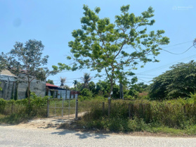 Bán đất xây biệt thự nghỉ dưỡng view sông. Tại Diên Phú