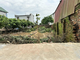 Bán nhanh 76m2 Xuân Đồng - Tân Minh đường thông ô tô tải chạy quanh giá chỉ nhú tỷ. LH 0976 677 492