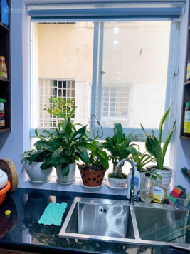 Giỏ hàng giá tốt: 58 - 65m2, đã làm sổ lô A, giá chỉ từ 1,75 tỷ, có hỗ trợ vay NH