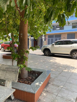 Nhà Nguyễn Oanh - Khu biệt thự Huy Hoàng, P. 17, GV. DT: 4m x 18m trệt lửng 3 lầu, giá: 8,9 tỷ TL