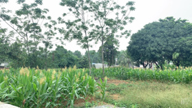 Chính chủ gửi bán lô đất 2 mặt tiền