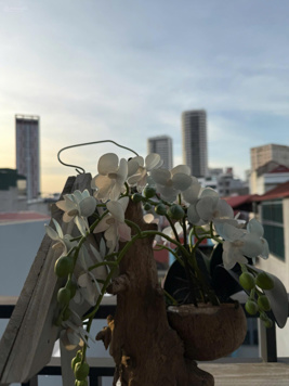 Gấp lắm rồi, bán nhanh căn nhà Phố Trần Quốc Vượng, DT 51m2, 6 tầng - giá 9 tỷ nhỉnh