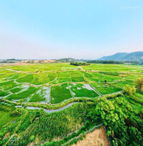 Chính chủ cần bán lô đất 1510m2. Giá rẻ nhất thị trường