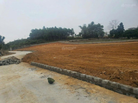 Cần bán 2700m2 đất ở 200m2 xã Nhuận Trạch, Lương Sơn, Hòa Bình