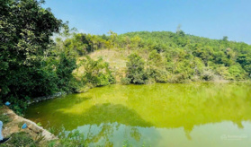 Bán gấp siêu phẩm bám hồ có diện tích 1585m2 trong đó có 400m2 thổ cư còn lại là đất trồng cây lâu