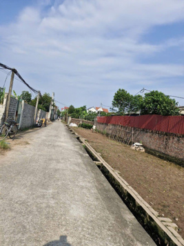 Tôi cần bán 130m2 đất 50 năm tại Sài Sơn - Quốc Oai. Bám đường betong, xe oto tránh. Xây dựng được