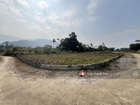 Chính chủ gửi bán 3 siêu phẩm ở Cư Yên, diện tích 300m2 320m2/lô có 100 thổ cư