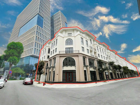 Tổng hợp quỹ căn shophouse ngay mặt sảnh cụm chung cư Masteri - Vinhomes Ocean Park 3