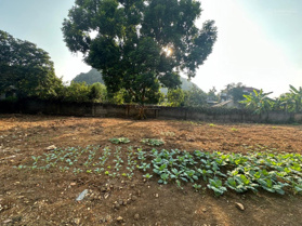 Bán đất nghỉ dưỡng view đẹp không khí trong lành