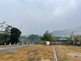 Bán nhanh trước tết 04 lô view hồ tại Cư Yên DT từ 302.6m-431m giá cực hấp dẫn. Đầu tư chắc thắng